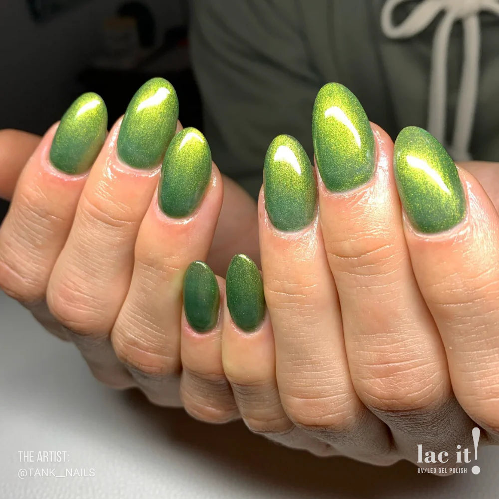 LAC IT! HOLLY